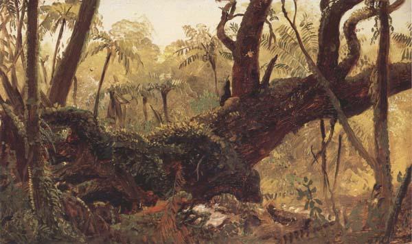 Frederic E.Church Rain Forest,jamaica,West Indies France oil painting art